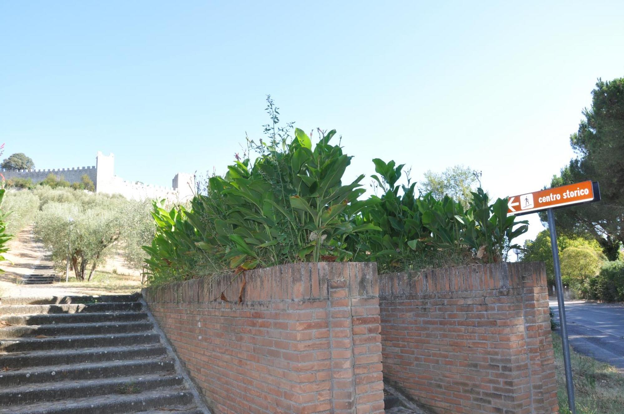 Residence Al Lago Castiglione del Lago Exterior foto